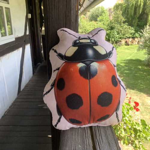 Polštář 3D - beruška — foto 3