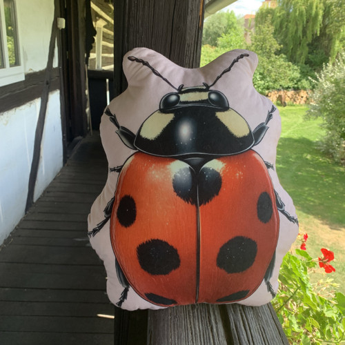Polštář 3D - beruška — foto 2