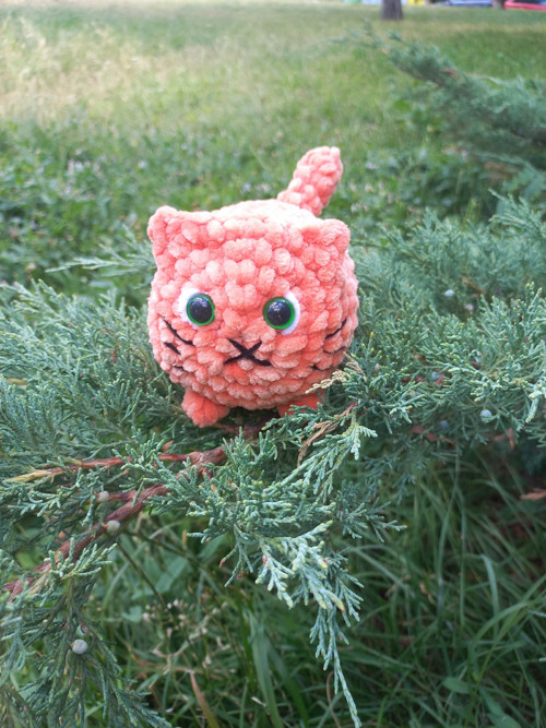 Háčkovaný kocourek/kočička — foto 5