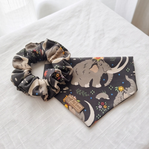 Set pro pejska a pro Tebe: Bandana a Scrunchie — foto 2