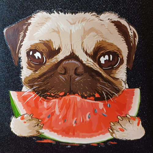 Batoh vak - mops - BAGY — foto 4