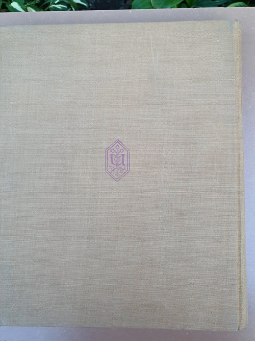 Stehle — foto 6
