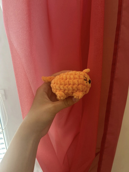 Mini kocourek Garfield — foto 2
