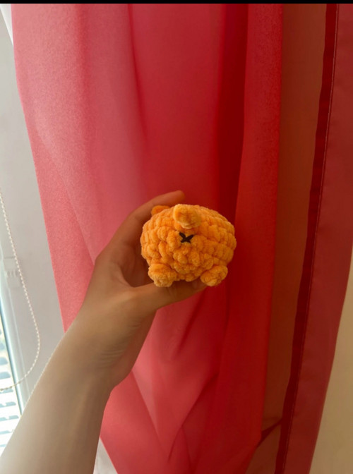 Mini kocourek Garfield — foto 4