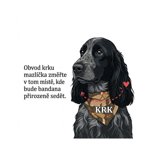 Set pro pejska a pro Tebe: Bandana a Scrunchie — foto 6