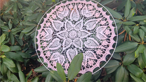 Mandala Sienkiewiczówka — foto 5