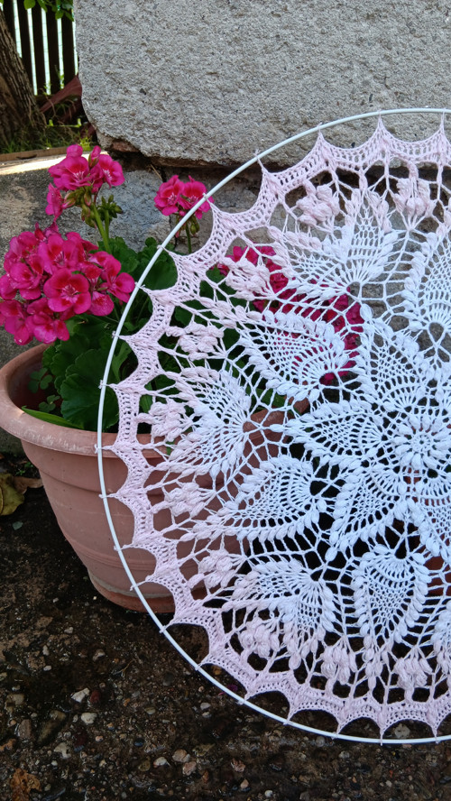 Mandala Sienkiewiczówka — foto 4