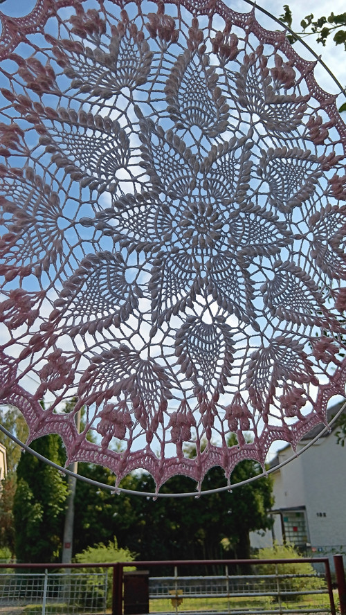 Mandala Sienkiewiczówka — foto 2