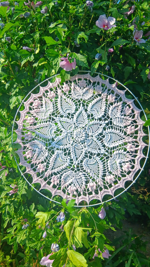 Mandala Sienkiewiczówka — foto 6