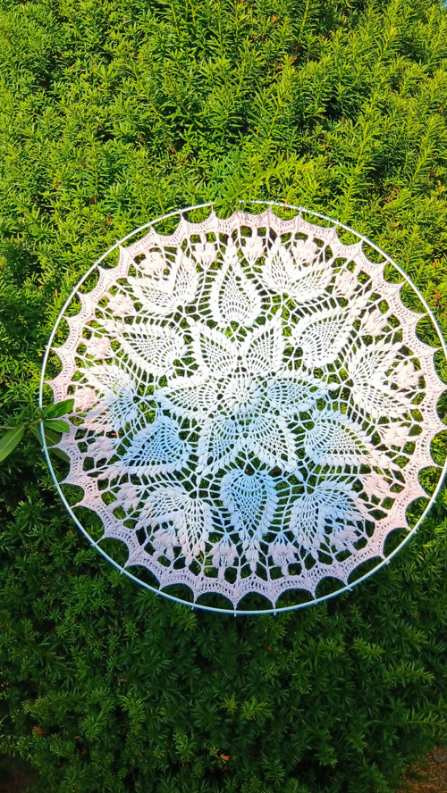 Mandala Sienkiewiczówka — foto 3