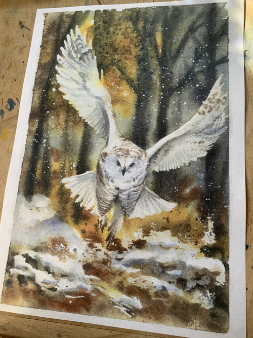 Sova print A4 — foto 2