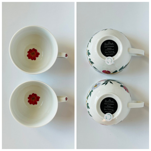 Rosenthal Magic Garden 2x šálek 180ml S. Walckhoff — foto 6