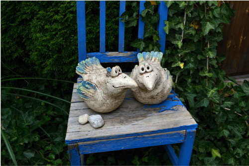 Barevní ptáci — foto 3