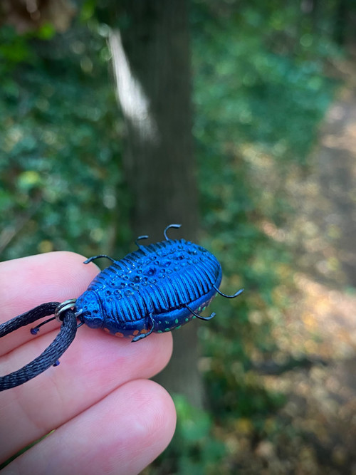 Beetle — foto 6