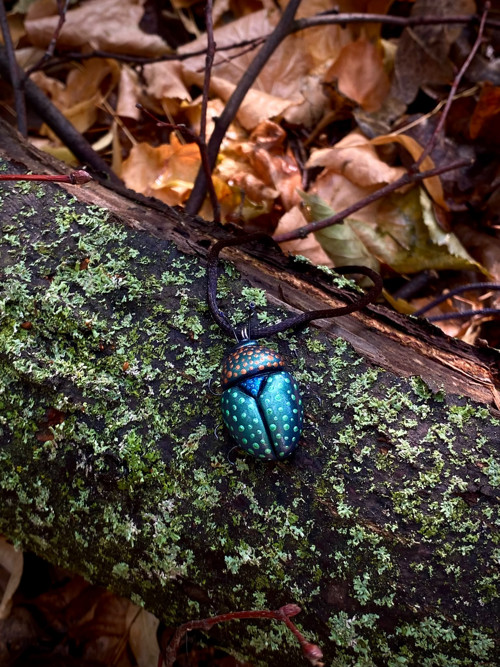 Beetle — foto 5