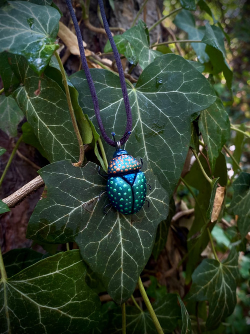 Beetle — foto 4