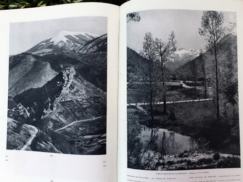 L’aquila — foto 3