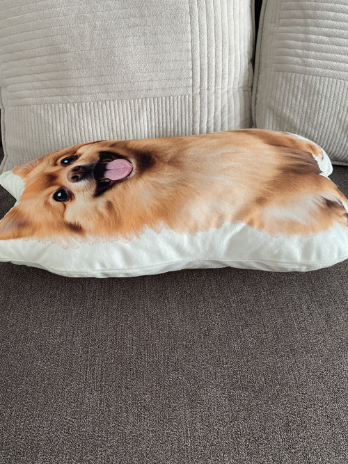 Polštář 3D Polštářek 3D - Pomeranian - pes — foto 2