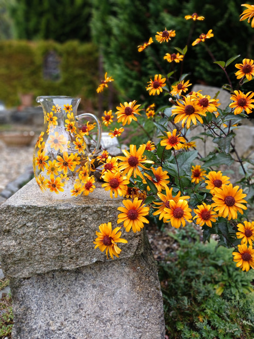 Džbán skleněný rudbekia — foto 2