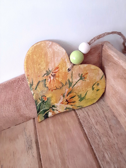 Srdíčko jarní — foto 2