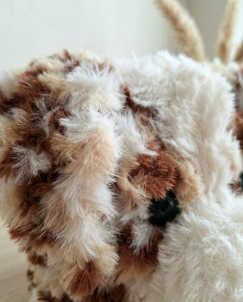 Australský ovčák - red merle — foto 3