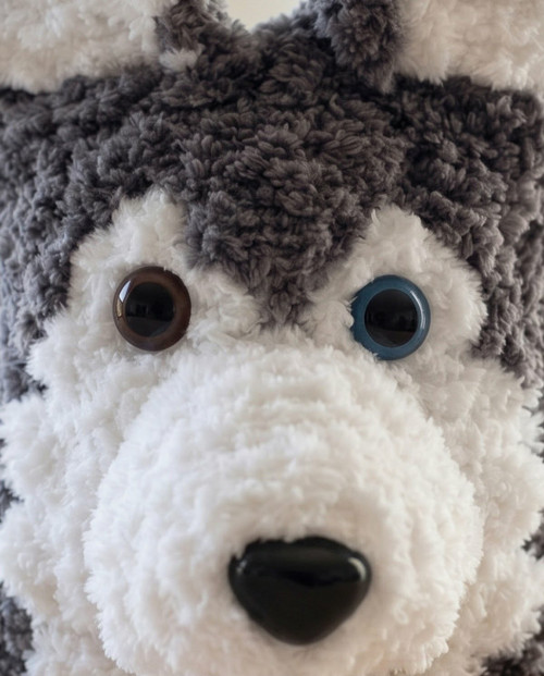 Sibiřský husky — foto 2