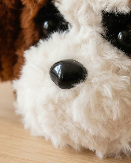 Shih-tzu — foto 3
