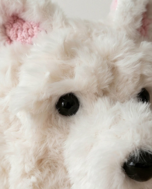 West highland white teriér — foto 4