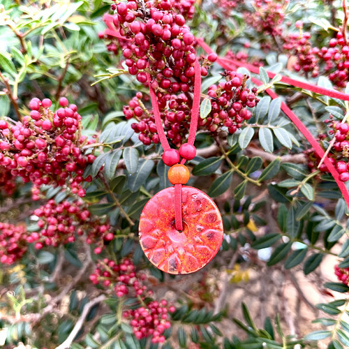 Mandalka bobulková — foto 4