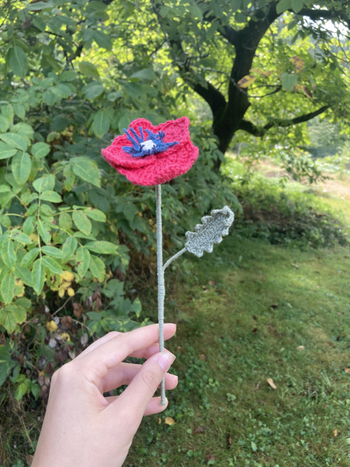 Háčkované luční kvítí - vlčí mák — foto 2