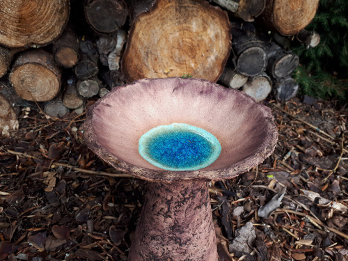 Studánka pro ptáčky, včelky a jiný hmyz — foto 3