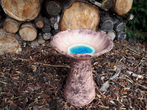 Studánka pro ptáčky, včelky a jiný hmyz — foto 6