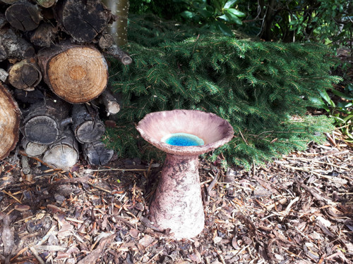 Studánka pro ptáčky, včelky a jiný hmyz — foto 5
