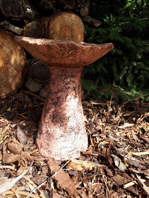 Studánka pro ptáčky, včelky a jiný hmyz — foto 2