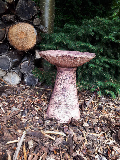 Studánka pro ptáčky, včelky a jiný hmyz — foto 4