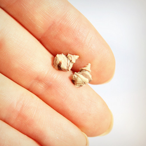 Mini lasturky, fimo pecky — foto 4