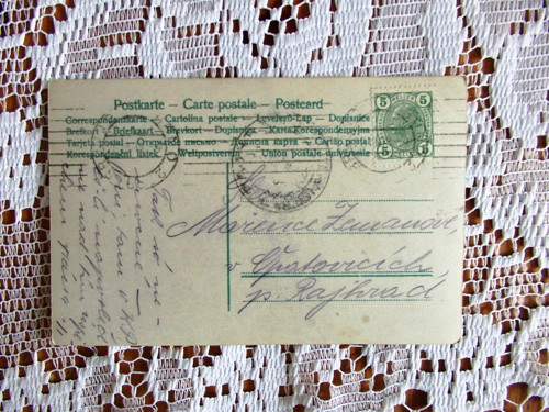 Aťa špic — foto 3