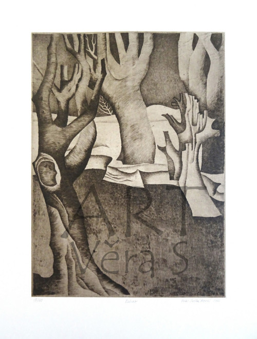 Ostrov — foto 2