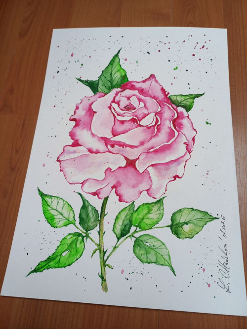 Obraz Nachová růže — foto 4
