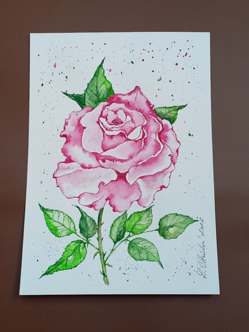 Obraz Nachová růže — foto 2