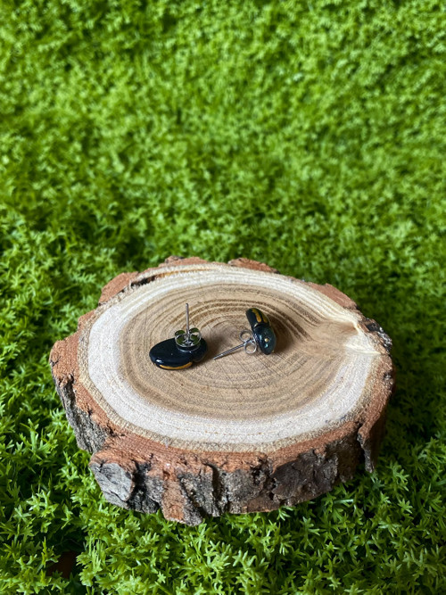 Beetles — foto 6