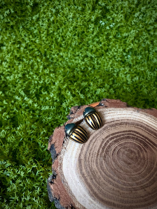 Beetles — foto 2