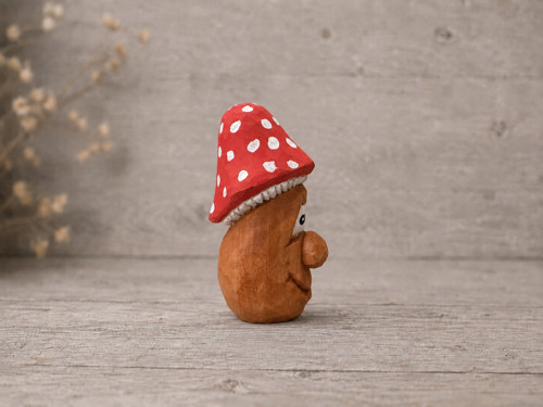 Muchomůrka Nejedůvka — foto 3
