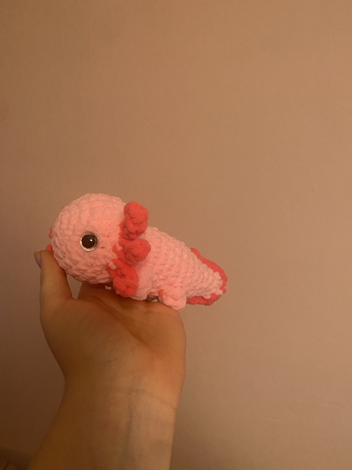 Háčkovaný axolotl — foto 3