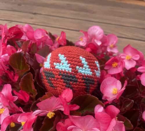 Hacky Sack — foto 3