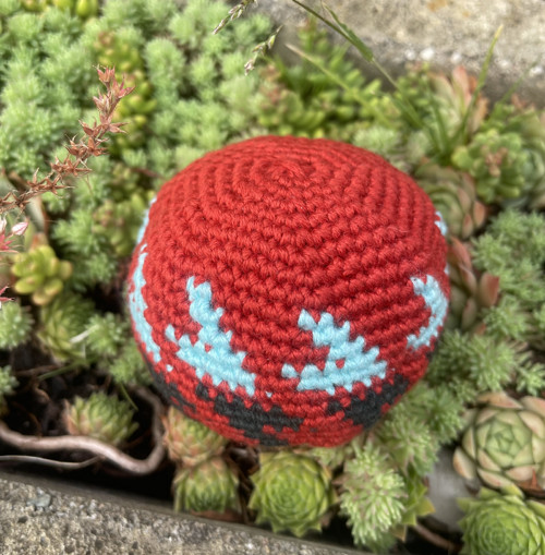 Hacky Sack — foto 2