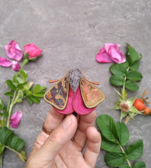 Můrka Rosa Rugosa - brož — foto 2