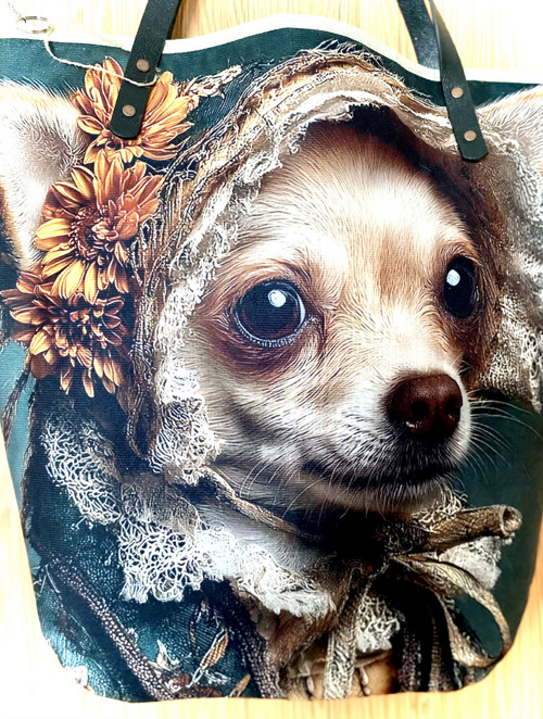 Taška Čivava — foto 2