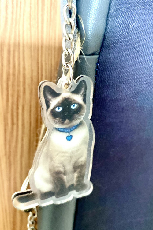 TAŠKA RAGDOLL na notebook — foto 6