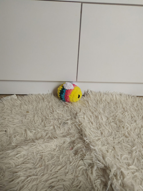 Rainbow bee — foto 3